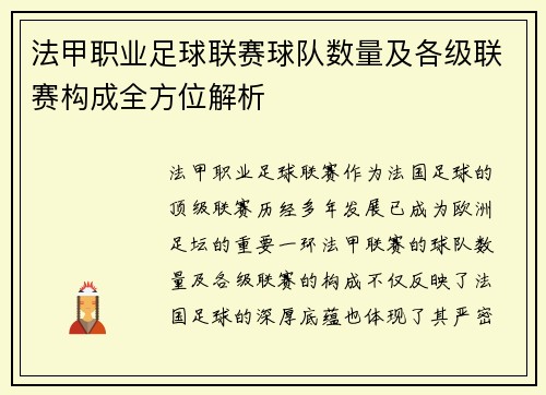 法甲职业足球联赛球队数量及各级联赛构成全方位解析